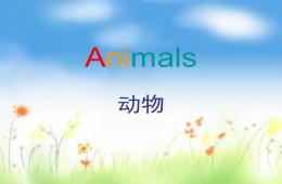 幼儿园英语动物PPT课件