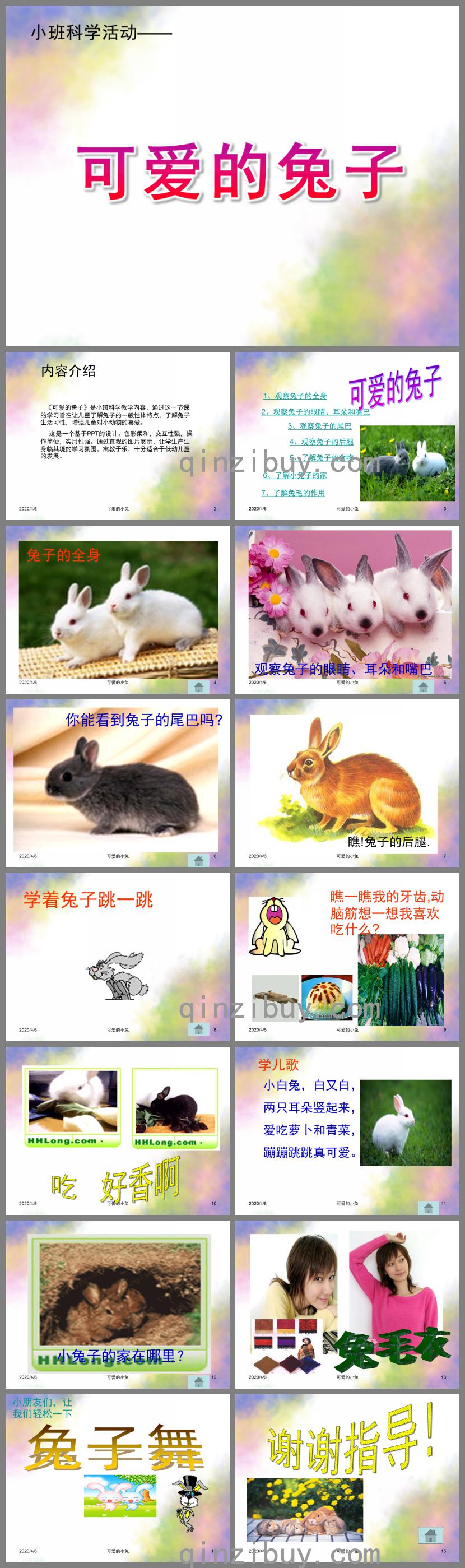 小班科学活动可爱的兔子PPT课件