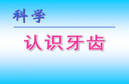 幼儿园科学认识牙齿PPT课件