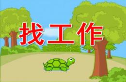中班语言小乌龟找工作PPT课件