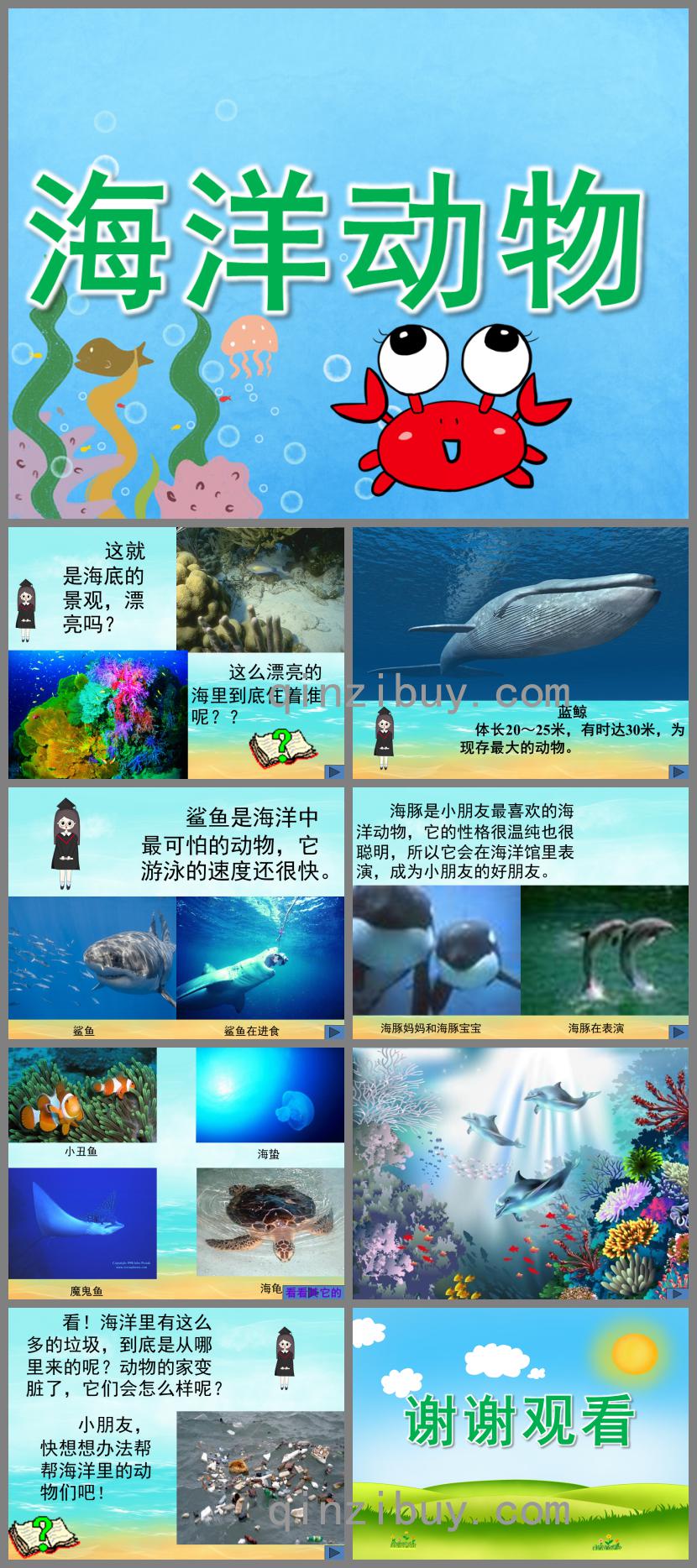 小班科学海洋动物PPT课件