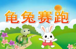 幼儿园龟兔赛跑的故事PPT课件