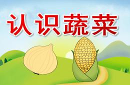 幼儿园认识蔬菜PPT课件