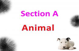 幼儿园小动物的英语单词PPT课件