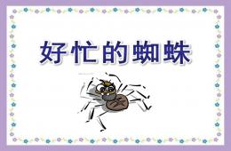 中班语言好忙的蜘蛛PPT课件