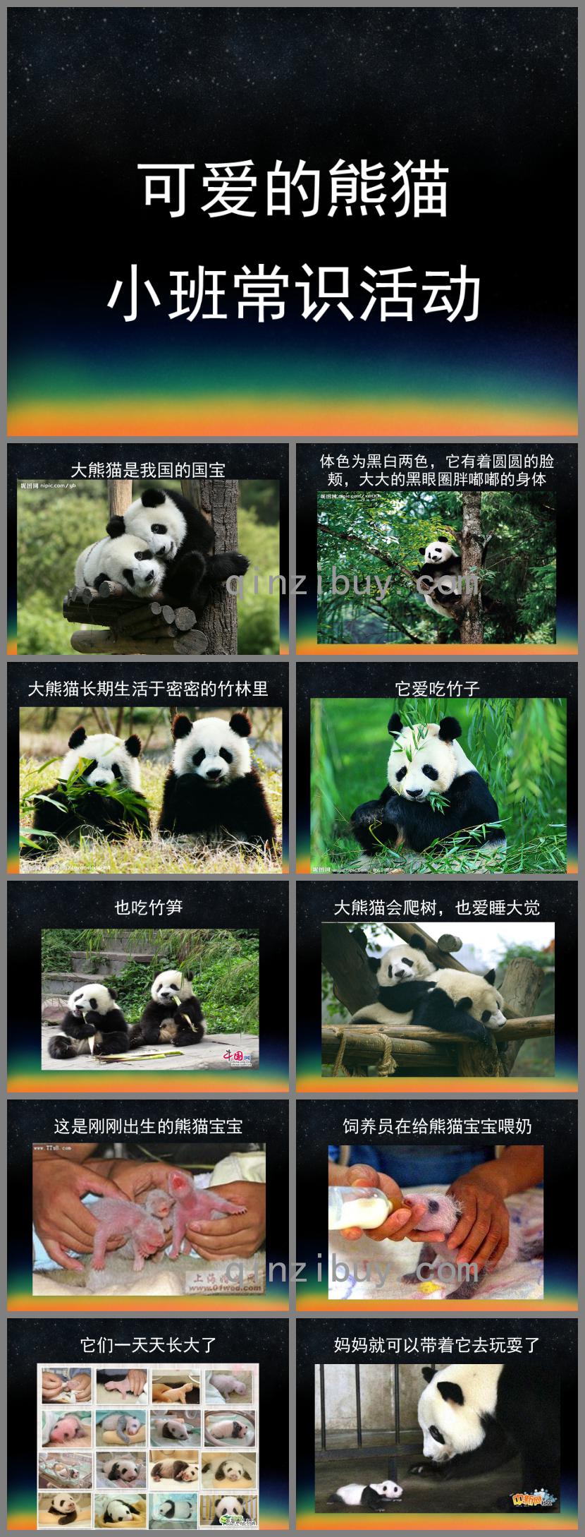 小班常识活动可爱的熊猫PPT课件
