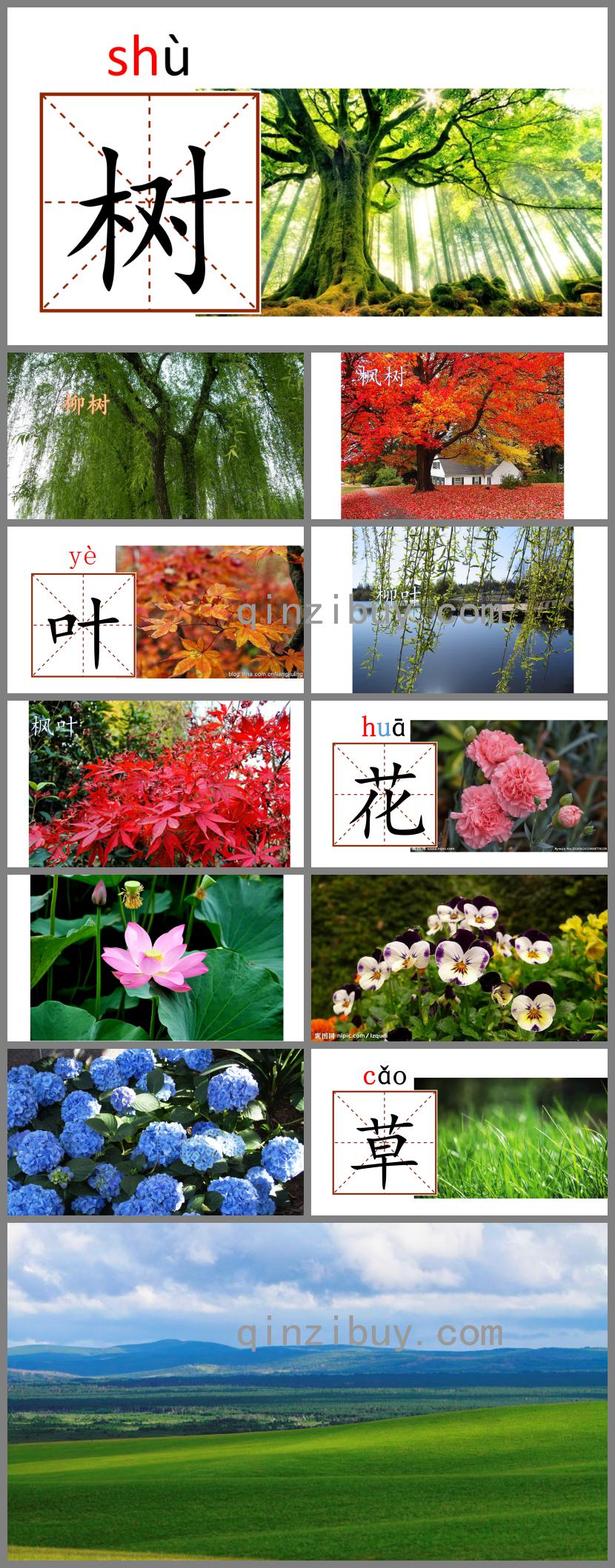 幼儿园学前班识字树叶PPT课件