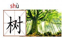 幼儿园学前班识字树叶PPT课件