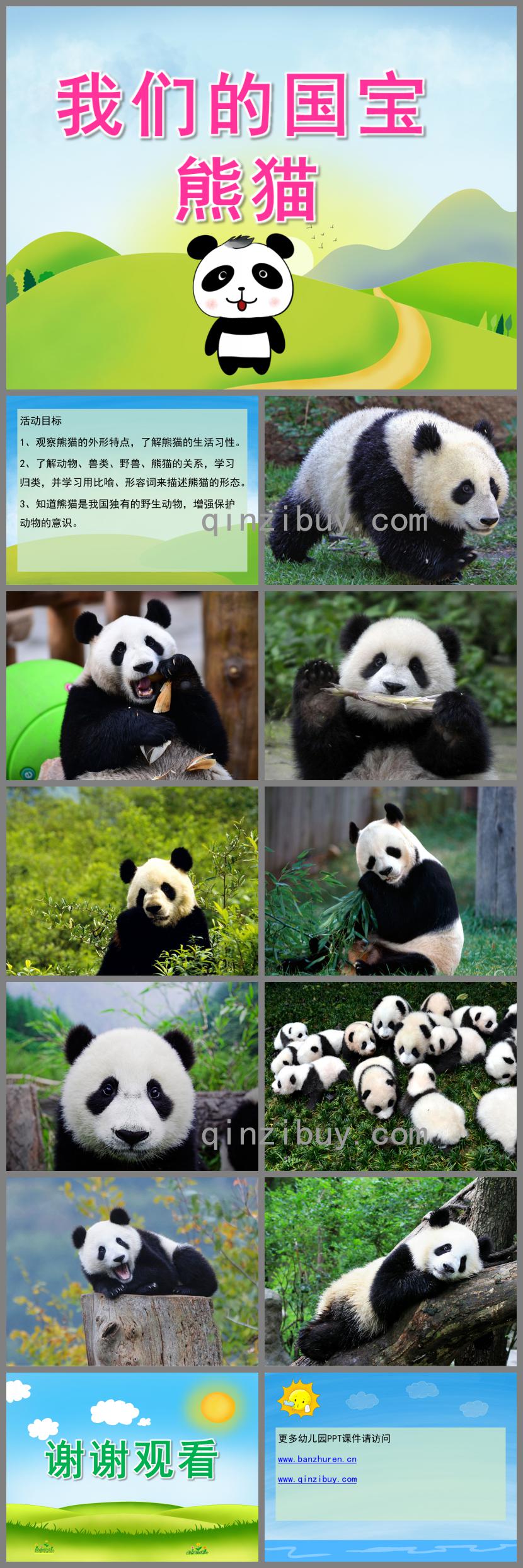 中班科学我们的国宝-熊猫PPT课件