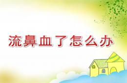 大班健康流鼻血了怎么办PPT课件