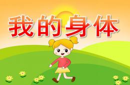 幼儿园主题活动我的身体PPT课件