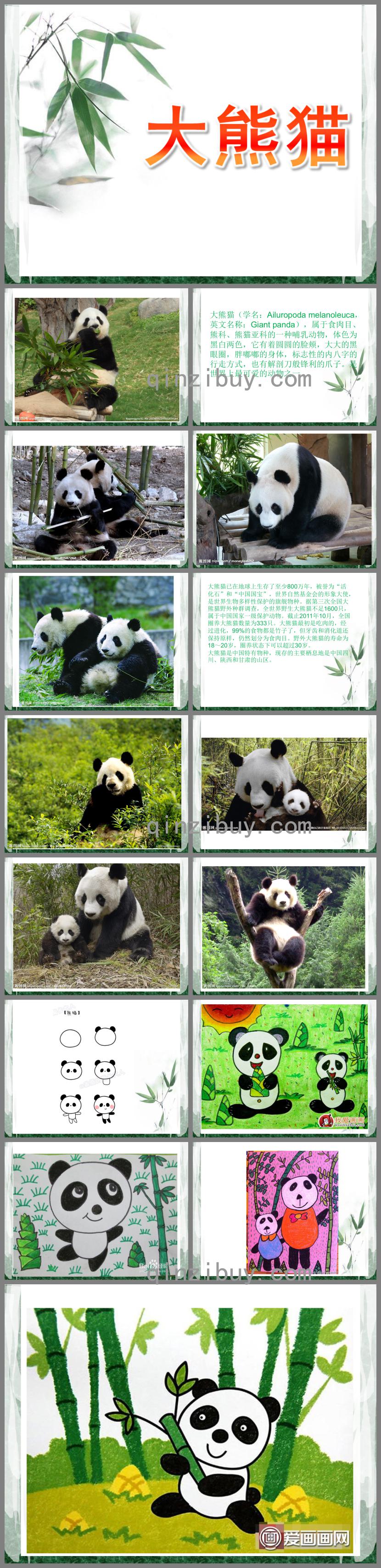小班绘画大熊猫PPT课件