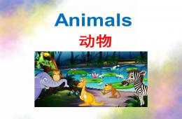 幼儿园英语动物PPT课件