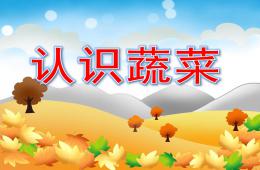 幼儿园亲子活动认识蔬菜PPT课件