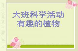 大班科学公开课有趣的植物PPT课件