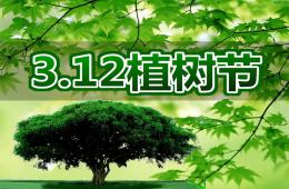 幼儿园植树节PPT课件