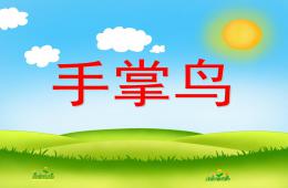 中班美术活动手掌鸟PPT课件