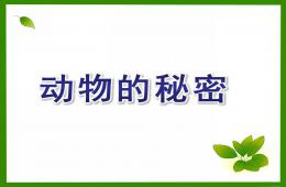 大班科学公开课动物的秘密PPT课件