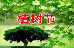 幼儿园植树节PPT课件