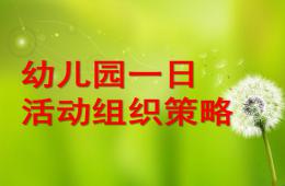 幼儿园一日活动组织策略PPT课件