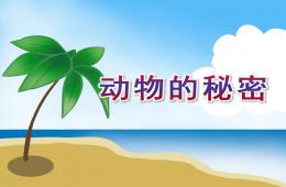 大班科学活动课动物的秘密PPT课件