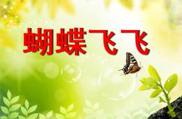 小班语言蝴蝶飞飞PPT课件