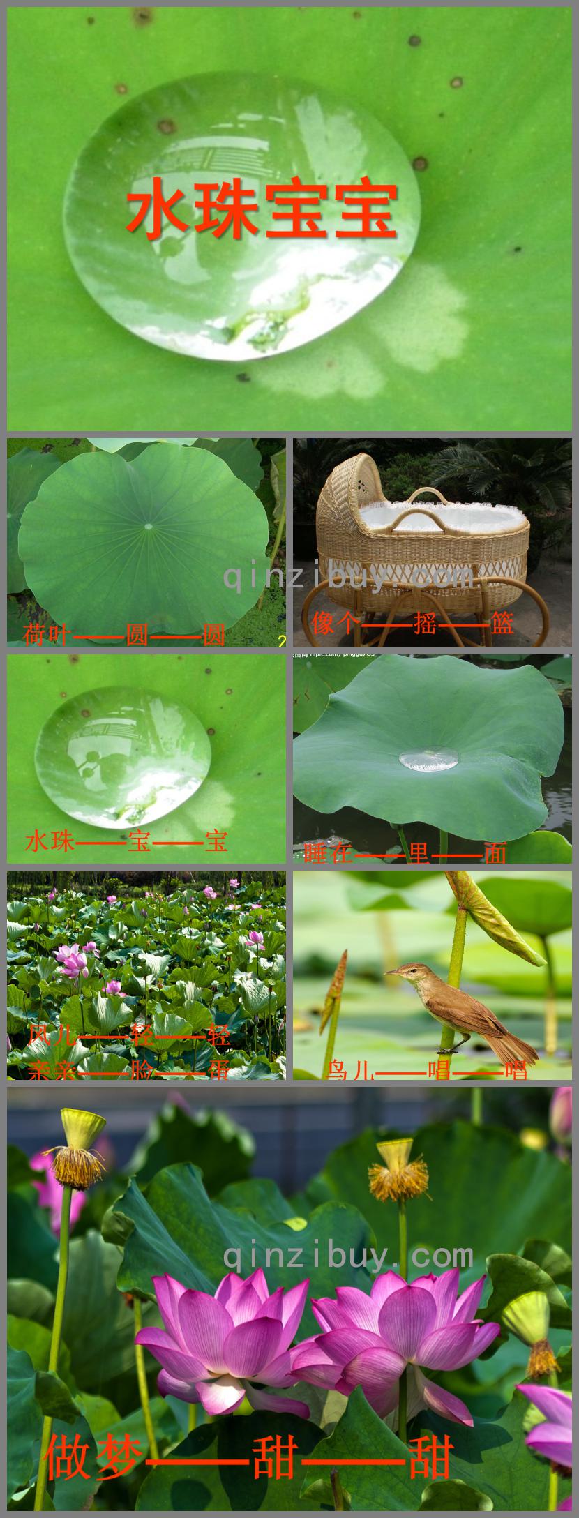 小班语言儿歌水珠宝宝PPT课件