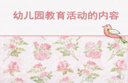 幼儿园教育活动设计PPT课件