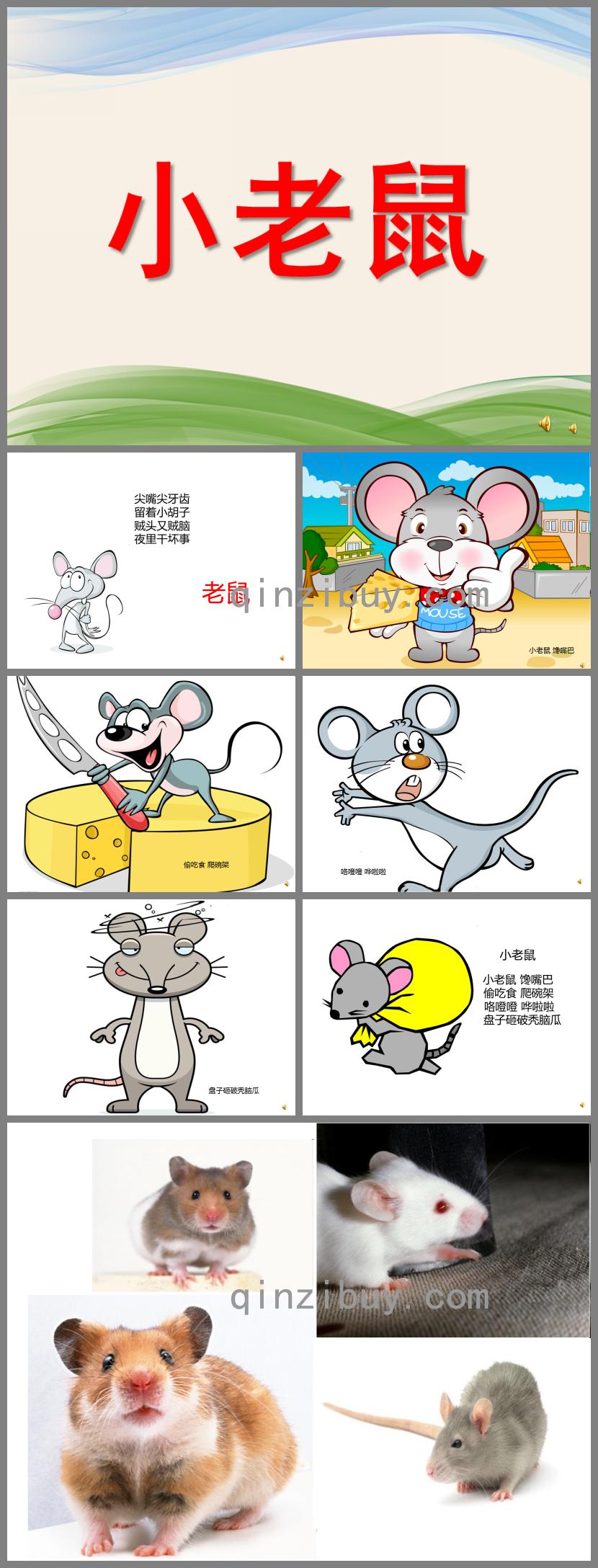 幼儿园动物儿歌小老鼠PPT课件配音音乐