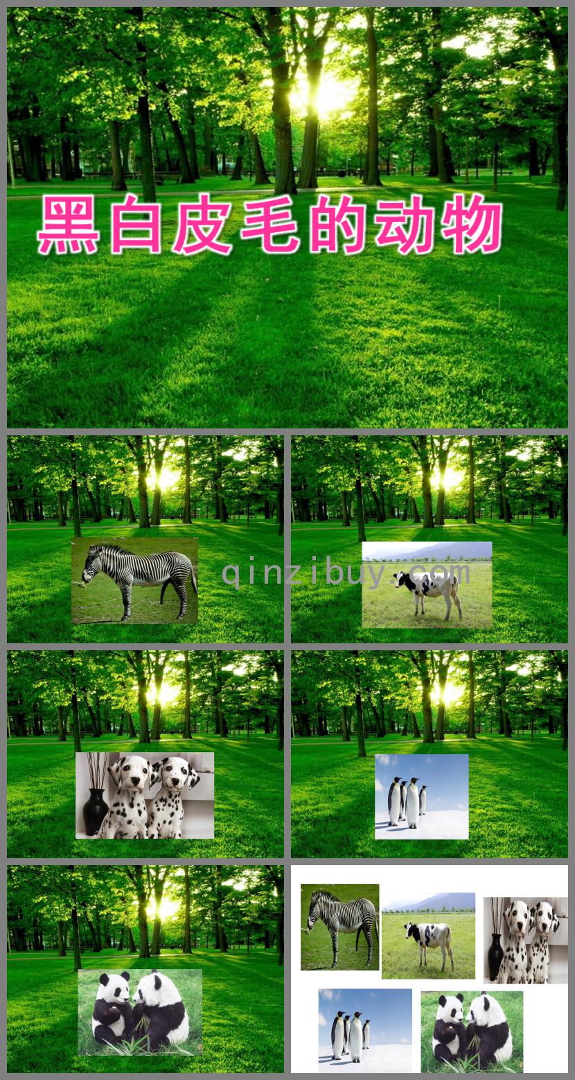 小班科学活动黑白皮毛的动物PPT课件