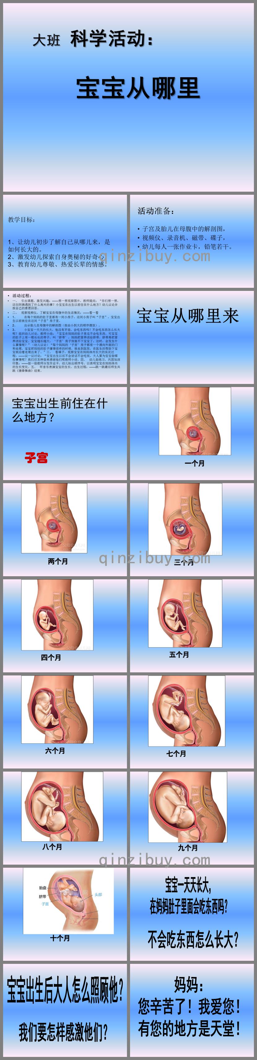 大班科学活动宝宝从哪里来PPT课件