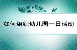 如何组织幼儿园一日活动PPT课件