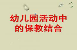幼儿园活动中的保教结合PPT课件