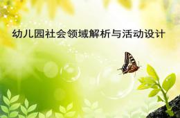 幼儿园社会领域解析与活动设计PPT课件