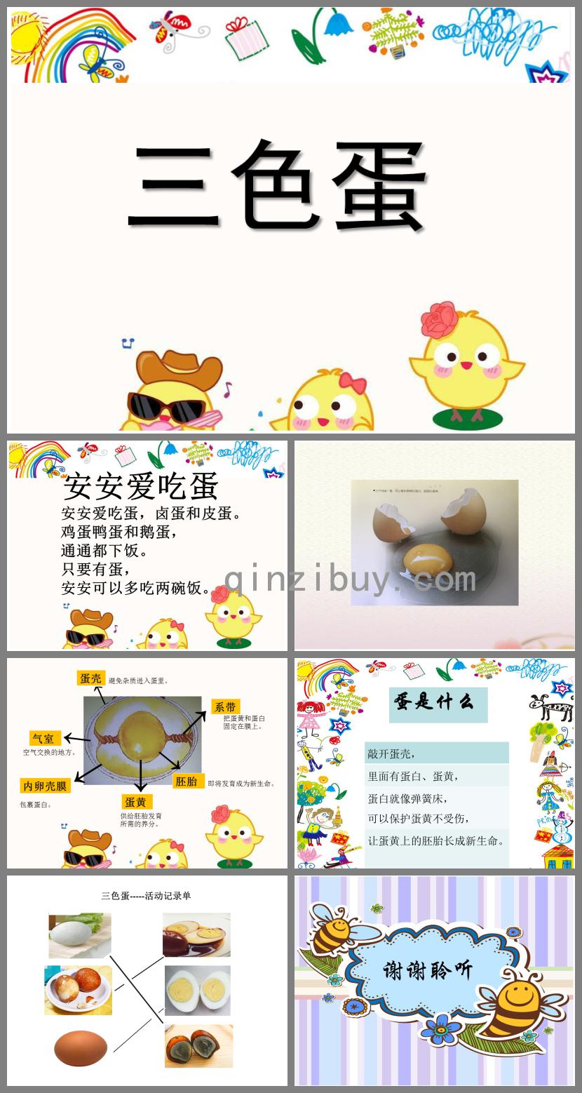 中班科学三色蛋-蛋是什么?PPT课件