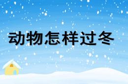 大班科学活动课动物怎样过冬PPT课件