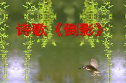 中班语言活动倒影PPT课件