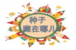 大班科学公开课种子藏在哪里PPT课件
