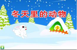 大班科学公开课冬天里的动物PPT课件