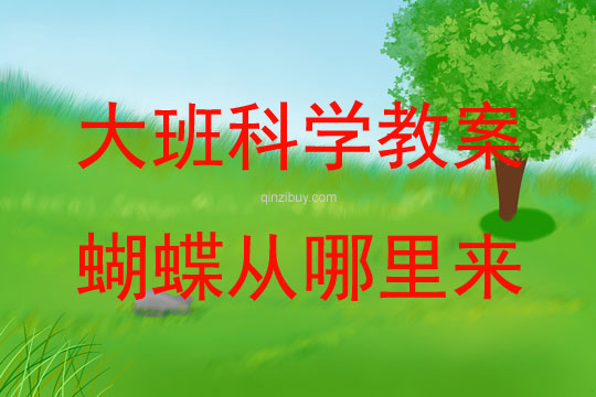 大班科学活动蝴蝶从哪里来?教案反思