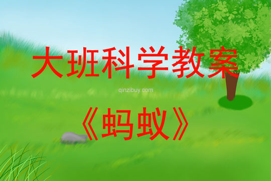 大班科学活动教案：蚂蚁教案