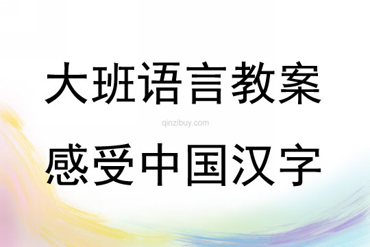 大班语言活动感受中国汉字教案反思