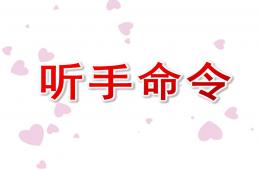 中班社会活动听手命令PPT课件