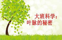 大班科学公开课叶脉的秘密PPT课件