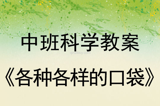 幼儿园中班科学教案:各种各样的口袋中班科学教案:各种各样的口袋