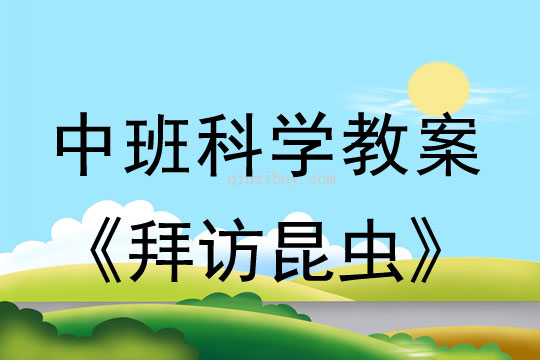 中班科学教案:拜访昆虫中班科学教案:拜访昆虫