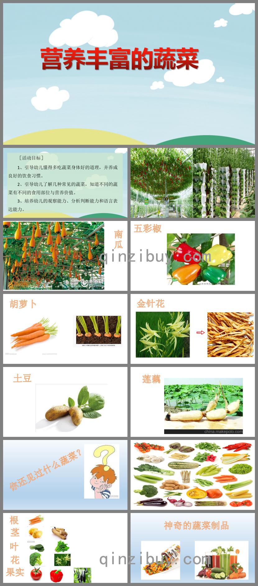 大班健康活动营养丰富的蔬菜PPT课件