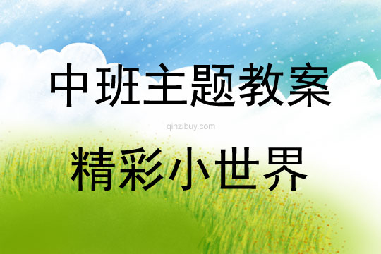 中班主题精彩小世界教案
