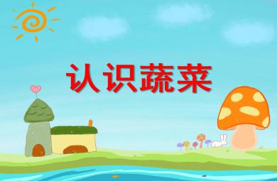 中班综合活动认识蔬菜PPT课件