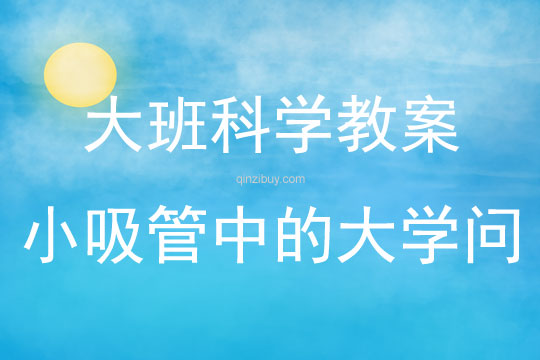 大班科学小吸管中的大学问教案